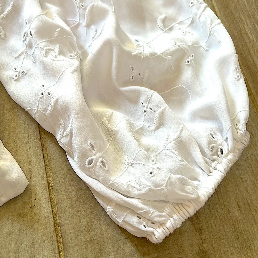 NWOT American Eagle Baloon Sleeve Lined Embroidered Babydoll Top - Picture 3 of 9